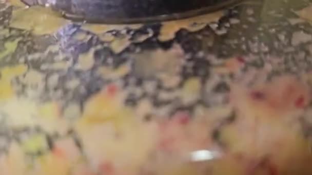집에서 주스를 누르는 Juicer 주스와 플라스틱 신선한 과일과 주스를 만들기 — 비디오