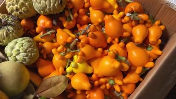 新年の間にベトナムで奇妙な明るいオレンジは 新年のテトラの前に市場のトレーダーによって箱に地面に売られました 高品質の4K映像 — ストック動画