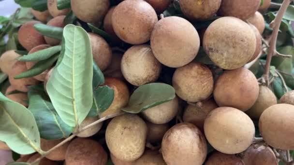 Ένα Μάτσο Φρέσκα Ωμά Εξωτικά Τροπικά Ταϊλανδέζικα Φρούτα Dimocarpus Longan — Αρχείο Βίντεο