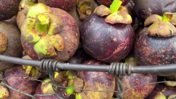 Närbild Asiatiska Frukter Mangosteen Druvor Marknaden Gatuförsäljare Som Säljer Frukt — Stockvideo