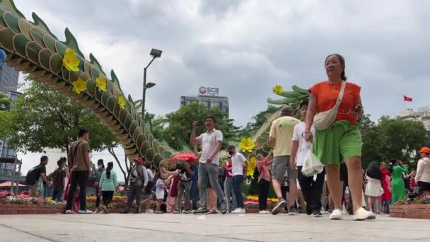 Walking Street Morning Lunar New Year Downtown City Peoples Committee — Wideo stockowe