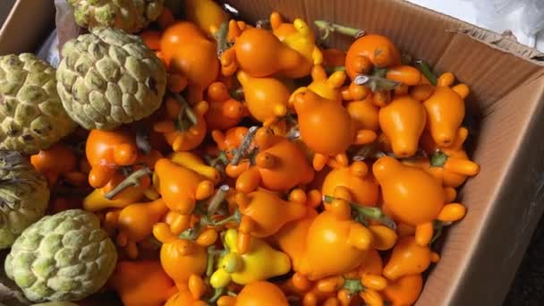 Vreemd Fel Oranje Vietnam Tijdens Nieuwjaar Verkocht Straat Grond Dozen — Stockvideo