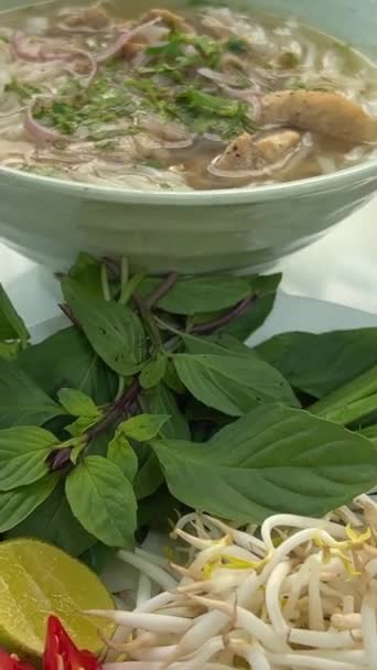 Soupe Pho Vietnamienne Traditionnelle Avec Légumes Verts Poulets Germés Haricots — Video