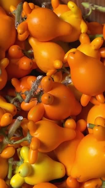 新年前夕 市场上的商人们在街上用箱子把奇怪的橙子卖给了街上的商人们 高质量的4K镜头 — 图库视频影像