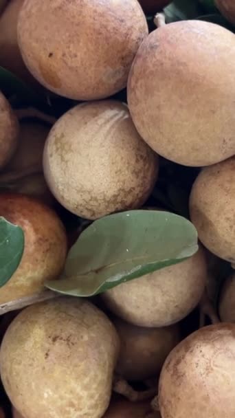 Ένα Μάτσο Φρέσκα Ωμά Εξωτικά Τροπικά Ταϊλανδέζικα Φρούτα Dimocarpus Longan — Αρχείο Βίντεο