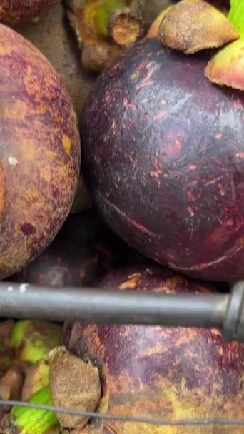 Blisko Azjatyckich Owoców Mangosteen Winogrona Rynku Sprzedawcy Uliczni Sprzedający Owoce — Wideo stockowe