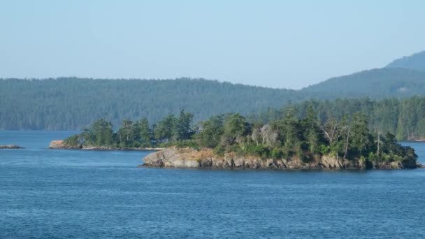 Canadian Landscape Ocean Mountains Summer Season Gulf Islands Vancouver Island — Stock Video