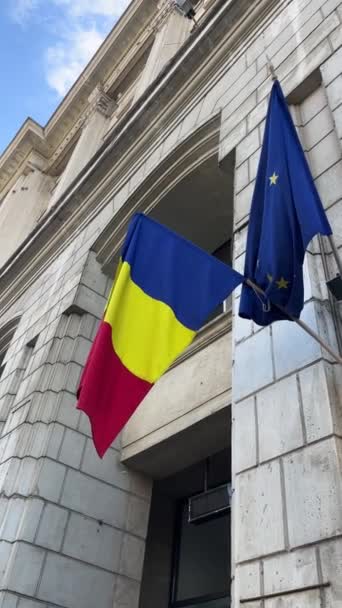 Mycket Detaljerade Rumänska Flaggan Ringar Vinden Högkvalitativ Fullhd Film — Stockvideo