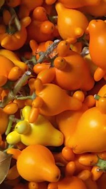 Vietnam 'da Yeni Yıl' da garip parlak turuncu... Yeni Yıl 'dan önce pazarda tüccarların kutularında yerde satılırdı. Yüksek kalite 4k görüntü