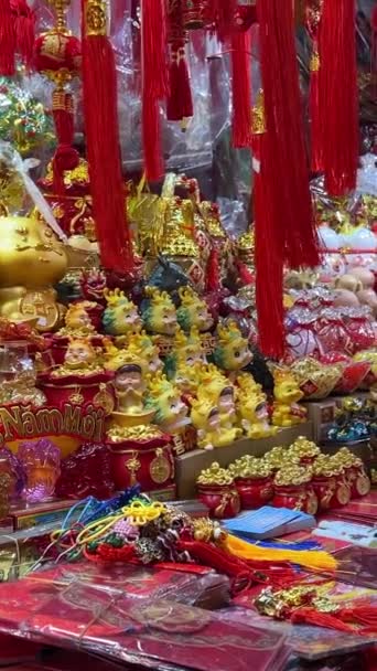 Chinese New Year Traditional Culture Lantern High Quality Footage — Stock Video