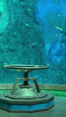 Vininci, Nam Hoi An. Quang Nam VinWonders Phu Quoc, Vietnam Hayal Sarayı VinWonders Tema Parkı Phu Quoc Adası. Oceanarium akvaryumu Vininci, Nam Hoi An. Quang Nam.