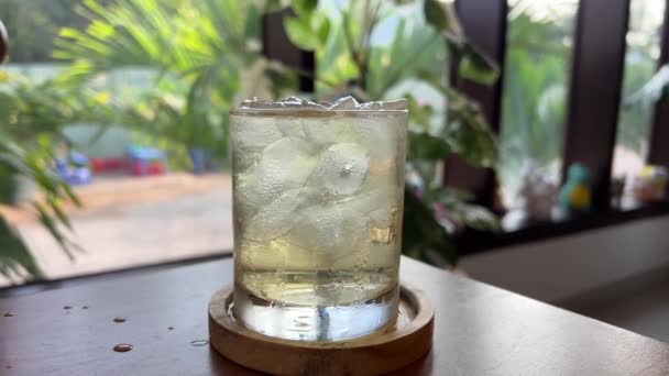 グラスに置かれている氷のキューブのクローズアップ 白い背景に日本の健康な緑茶マグカップ 高品質の4K映像 — ストック動画