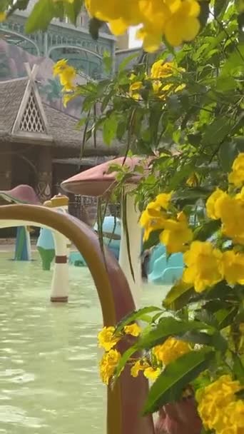 Vinwonders Phu Quoc Vietnam Palace Dream Central Vinwonders Tema Park — Stok Video