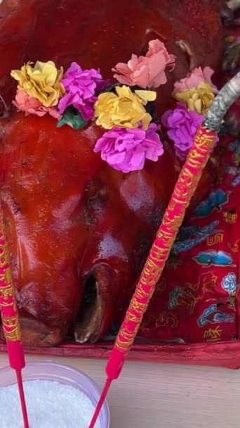 Balinese Babi Guling Jedzenie Lub Pieczona Świnia Ssąca Indonezyjskie Jedzenie — Wideo stockowe
