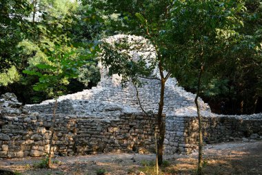 Arnavutluk 'un Butrint Ulusal Parkı' ndaki Büyük Bazilika kalıntıları. Butrint Life 'daki Triconch Sarayı tarihi ortaçağ Venedik Kulesi' nin sarayındaki tarihi bir Roma evinin ölümü. Yüksek kalite
