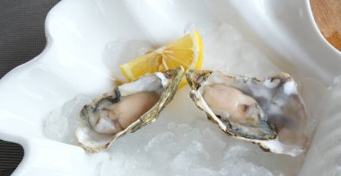 Beyaz arka planda limon dilimli taze istiridye. Yüksek kalite fotoğraf