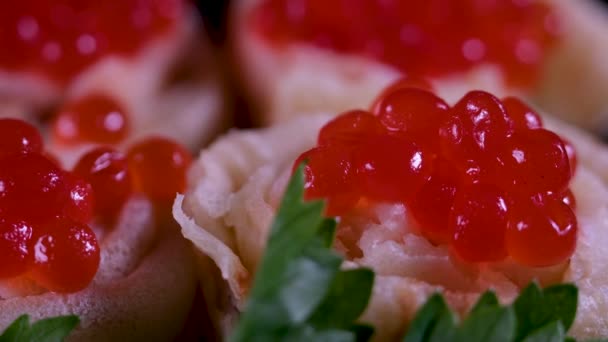 흰색과 빨간색과 검은색 캐비어와 샌드위치 고품질 — 비디오