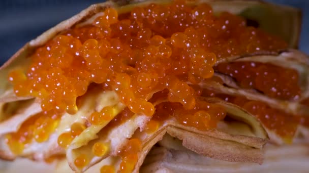 Memasak Pancake Dengan Kaviar Merah Tampilan Kaviar Merah Dimanjakan Dan — Stok Video