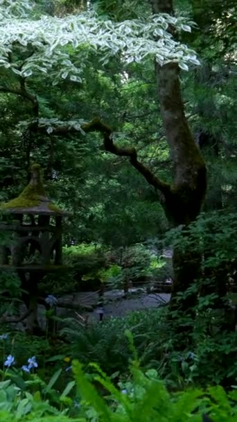 布塔图花园是维多利亚岛著名的布奇特花园 日本花园加拿大 高质量的4K镜头 — 图库视频影像