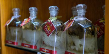 T. Vasilakis ve Oğulları Corfiot Damıtma Şaraphanesi Yunanistan Korfu Adası 02.12.2024 