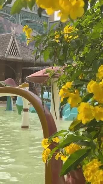 Palace Dream Central Vinders Theme Park Phu Quoc Island Vinpearl — Stock video