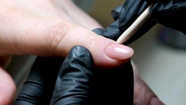Beautician Using Nail Polish Giving Customer Service Manicure Salon High — Stock Video