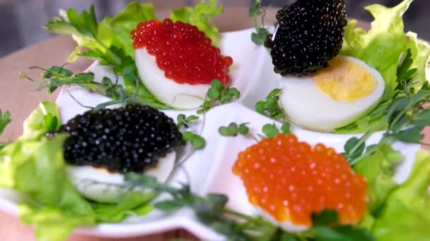Zwarte Rode Viskuit Kaviaar Geserveerd Gekookte Eieren Hoge Kwaliteit Beeldmateriaal — Stockvideo