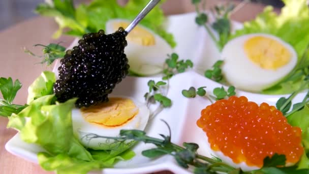 Ikan Hitam Dan Merah Roe Caviar Disajikan Pada Telur Rebus — Stok Video
