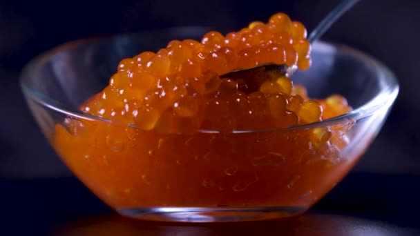 Czerwony Kawior Łososiowy Szklanej Misce Wysokiej Jakości Materiał — Wideo stockowe