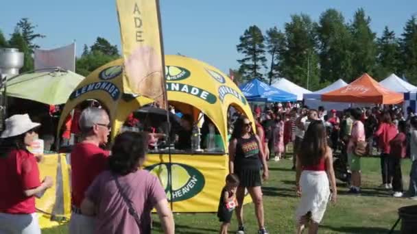 Atracții Leagă Parcul Distracții Surrey Canada Day Familiile Oamenii Îmbrăcați — Videoclip de stoc
