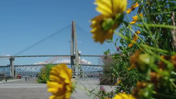 Вид Повітря Міст Скай Поїзда Проходить Через Річку Фрейзер Від — стокове відео