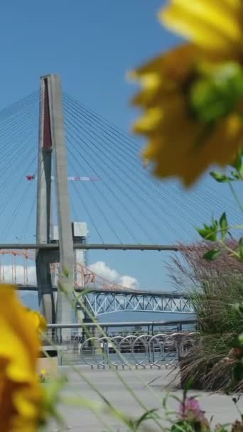 Vue Aérienne Pont Skytrain Qui Enjambe Fleuve Fraser Surrey New — Video