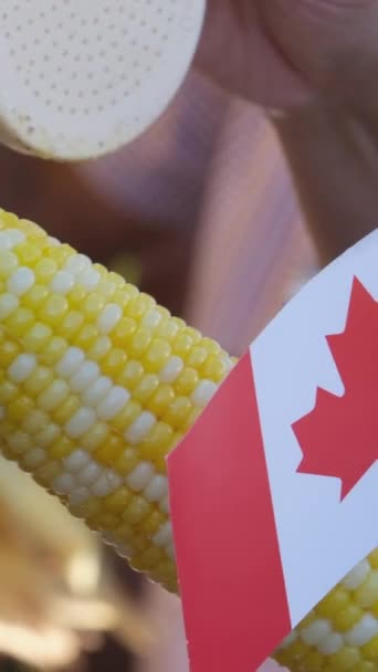 Varm Majs Och Kanada Flagga Strö Salt Majs Surrey Kanada — Stockvideo