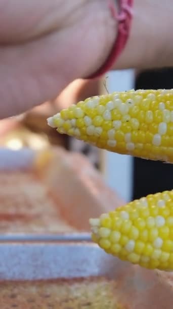 Posypání Soli Sladkou Kukuřici Předkrm Zdravé Přírodní Výživy Chutná Čerstvě — Stock video