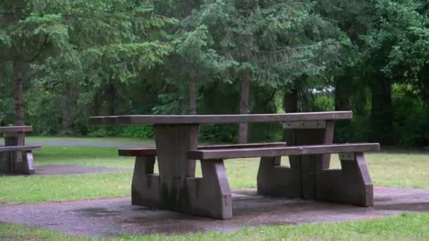 Wooden Bench Park Desk Picnic Relaxation Forest Area High Quality — Stock Video