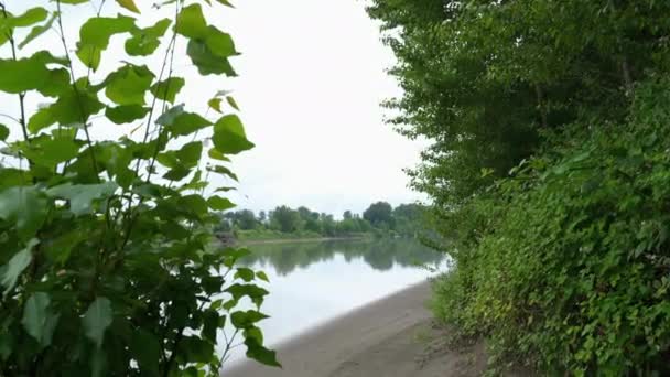 Landschaft Fluss Ein Ruhiger See Mit Ruhigem Kühlem Wasser Einem — Stockvideo