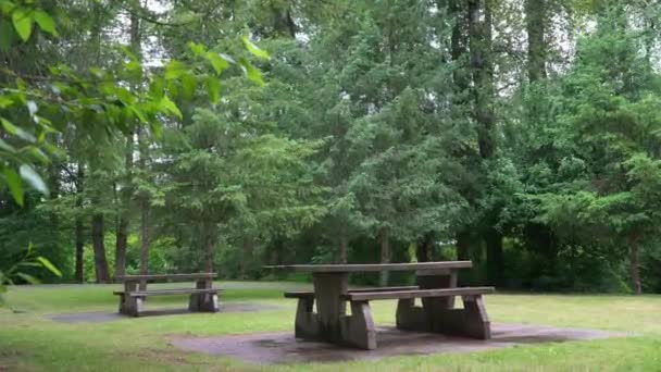 Time Lapse Allestimento Tavolo Picnic Parco Una Giornata Estiva Vancouver — Video Stock