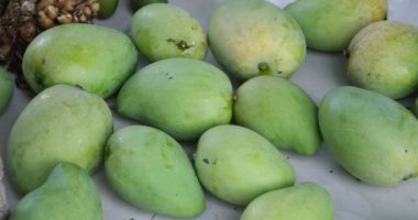 Ağaçtan mango toplayıp torbaya koyma işlemi. Bir adam mango toplar ve Vietnam 'daki tarlasının verandasına koyar. Yüksek kaliteli FullHD görüntüler