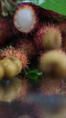 Longan meyveleri cam masaya düşer, bir rambutan dalının arka planına karşı. Dikey video, yüksek kaliteli FullHD görüntüler