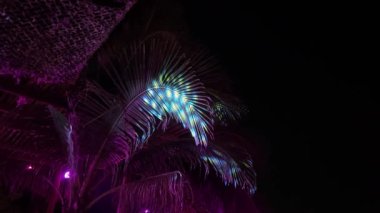 Bir gece kafesinde parti. Vietnam Phu Quoc Adası 