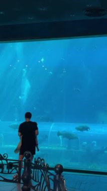 Vietnam 'daki Oceanarium VinWonders Phu Quoc lunapark turistleri. Phu Quoc Adası, Vietnam 
