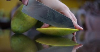 Olgunlaşmamış mangolar dalda asılı. Ağaçta asılı yeşil mango meyvesi. Mango meyvesi. Ağaçta sallanan olgunlaşmamış meyve. Mangolar. Yeşil mangolar. Seçici Odaklanma. Yüksek kalite 