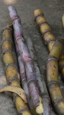 İş yerinde bambu direklerini kıran işçilere yakın durun. Baston doğrama