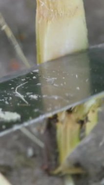 İş yerinde bambu direklerini kıran işçilere yakın durun. Baston doğrama