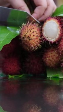 Taze sağlıklı kırmızı rambutan meyve yığını yerel çiftçi pazarında sergileniyor. Taze hasat edilmiş Rambutan meyvesi görüntüleri. Taze rambutan meyvesini açarken yakınlaş.