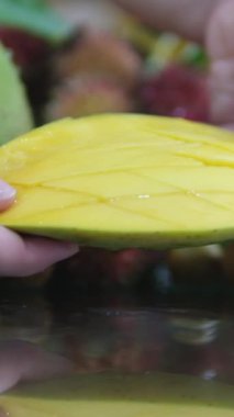 Olgunlaşmamış mangolar dalda asılı. Ağaçta asılı yeşil mango meyvesi. Mango meyvesi. Ağaçta sallanan olgunlaşmamış meyve. Mangolar. Yeşil mangolar. Seçici Odaklanma. Yüksek kalite 