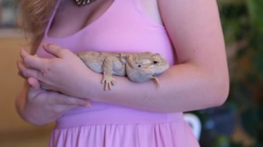 Pembe elbiseli genç bir kız kollarında canlı bir kertenkele, sakallı bir ejderha tutuyor. Tıbbi ofisteki bir kertenkeleyi işaret eden bir veterinerin yakın çekimi. Yüksek kalite 4k görüntü