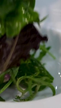 Lezzetli yeşil salatalıklar, marul yaprakları, kırmızı soğan ve domateslerden yapılmış taze sebze salatasını karıştıran kadın eller. Salata hazırla.