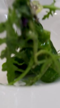 Salatayı yapraklardan hazırla. Romaine marulu, hindiba veya roka gibi farklı salata yapraklarının üzerine dökülen zeytinyağının yakın plan çekimi. Yüksek kalite