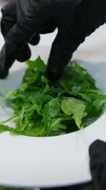 Taze salata tabağı ve karışık yeşillik marul yaprakları roka mesclun mache limon yakından. Lezzetli vejetaryen yemekleri pişirmek. Yavaş çekimde yemek hazırlama kavramı. Sağlıklı gıda keto veya paleo diyeti